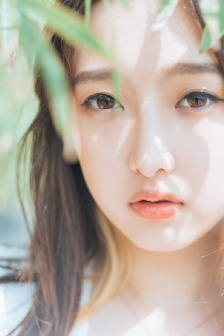 梅花档案2
